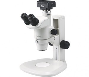 stereo microscope nikon