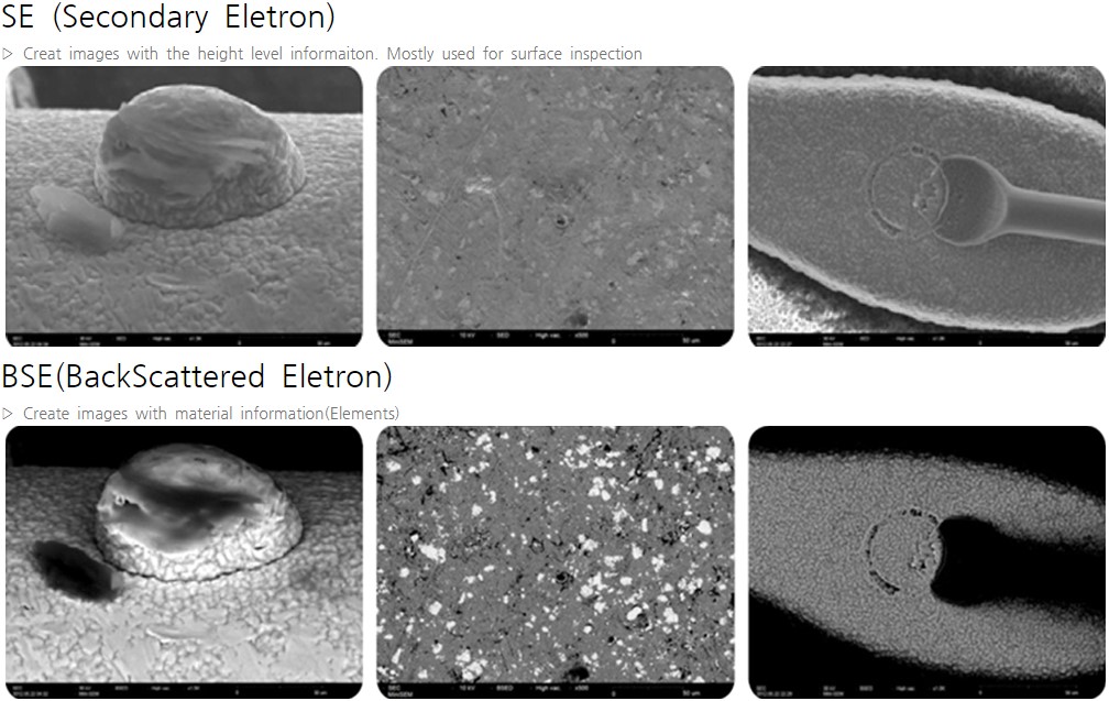 SEC_SNE_4500plus_table_top_Scanning_Electron_Microscope_image_2